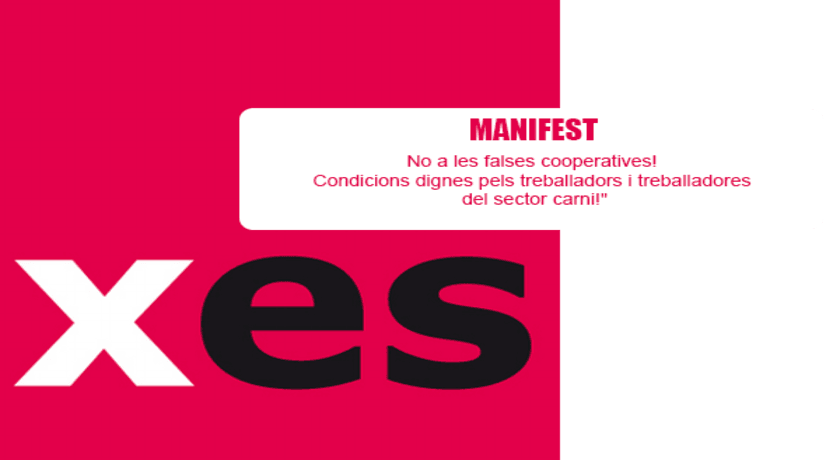 Manifest de la Xarxa d'Economia Solidària contra les falses cooperatives
