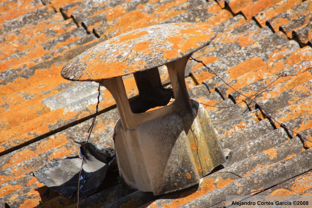 Reclaman el acceso anticipado a la jubilación para el colectivo de trabajadores del amianto