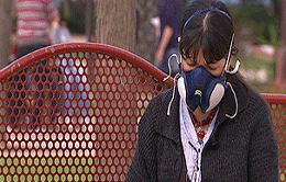 Malalties ambientals