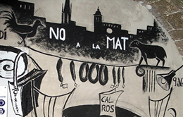 El Col·lectiu Ronda ha presentat recurs d’empara davant el Tribunal Constitucional